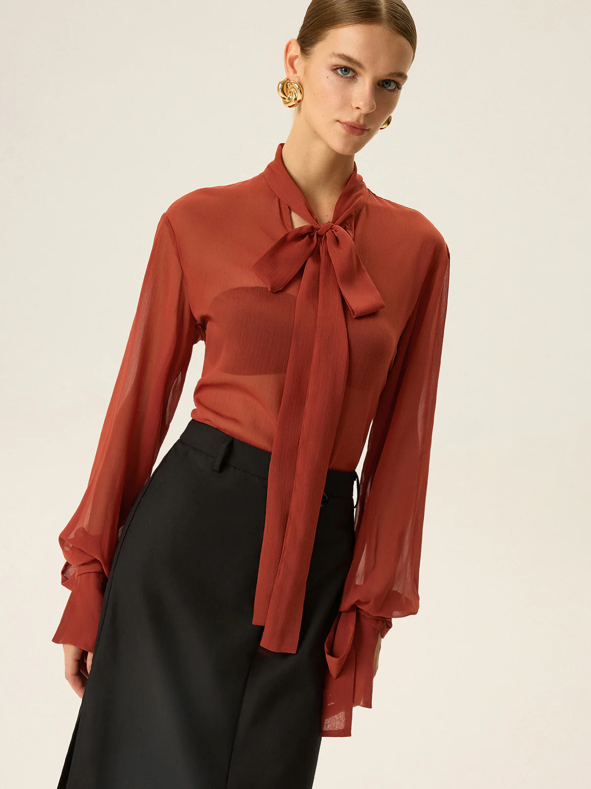 Semi-Sheer Chiffon Tie Neck Blouse - Wholesalesil